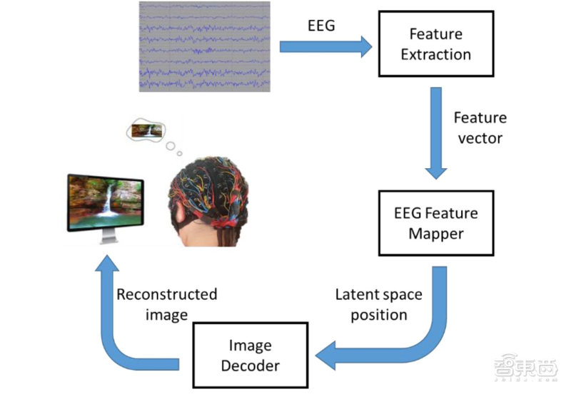 “AI读心术”新突破，俄罗斯AI通过脑波还原图像，准确度90%！【附视频】
