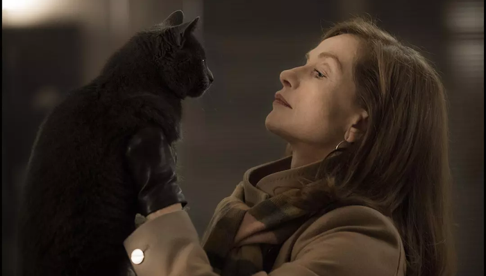 文娱早报｜海南岛国际电影节宣布竞赛单元国际评委名单 明年10部在台上映的大陆影片公布