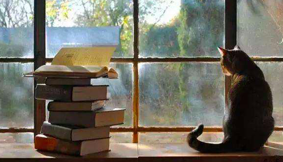 如果人们受过教育，他们应变得不那么确定，而不是更确定｜一周新书推荐