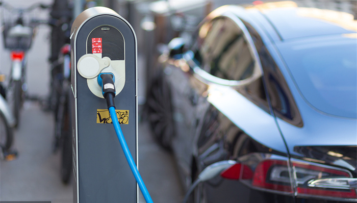 ST猛狮,猛狮,债务,涨停