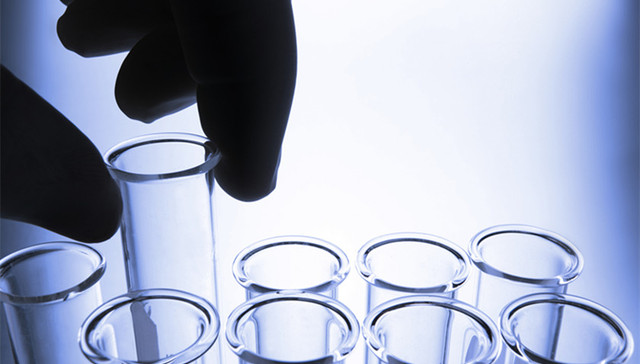 网传饶毅实名举报李红良等学术造假，国家自然科学基金委：正在调查核实