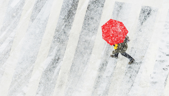 界面晚报｜官方回应网传饶毅实名举报李红良等学术造假 入冬以来我国最大范围降雪将至