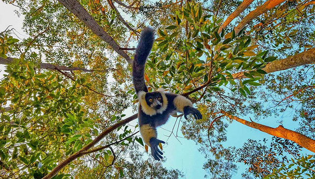 一周影像资讯 | 老照片记录下人们的“光疗”史；泰国推出父母摄影培训班，教他们给子女拍照