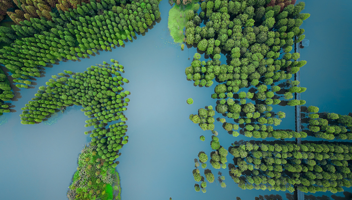 长三角一体化，绿色生态修复