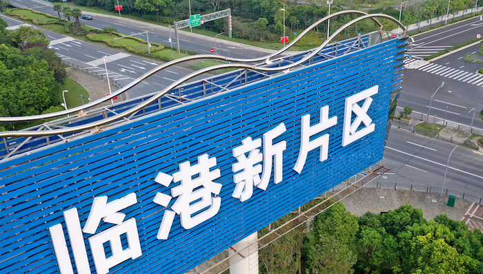 临港新片区，土地新政