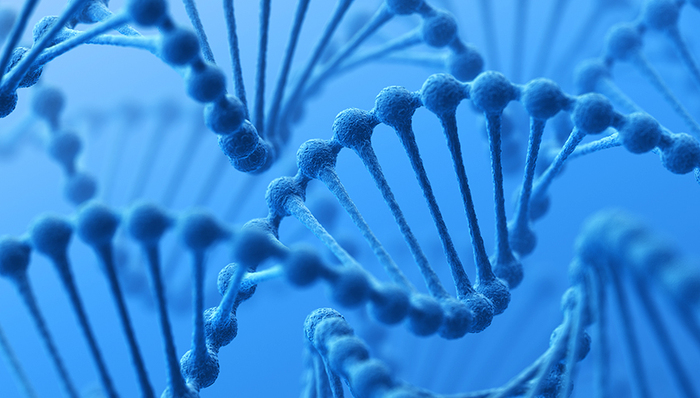 界面晚报｜厦门警方通过DNA鉴定快速确认劳荣枝身份 财政部就《消费税法》征求意见