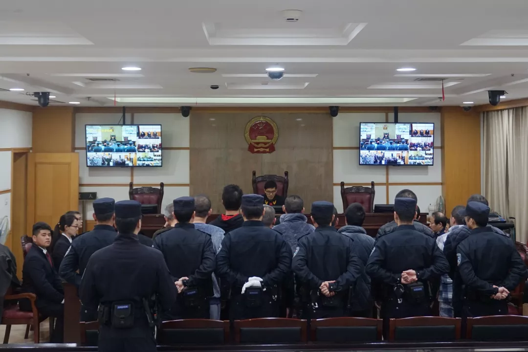 硬暴力、软暴力兼施，杭州一套路贷黑社会性质组织首要分子获刑22年