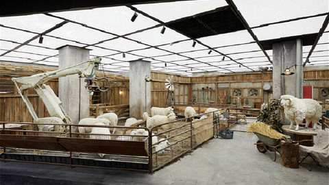 一天卖10亿的SKP在北京开了个农场，被羊围观购物是什么感觉？