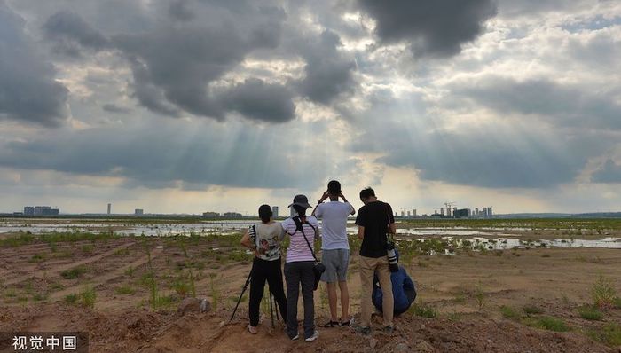 中产阶级,人与自然