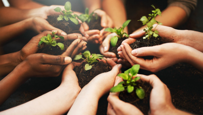 以“生态绿色”助力一体化