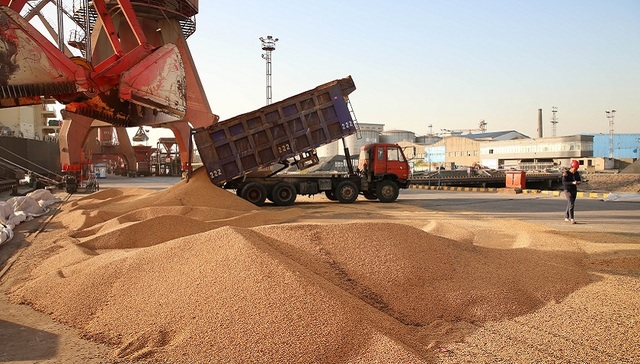 大豆进口,猪肉进口