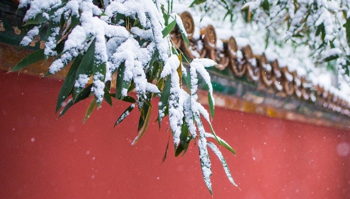 周末北京天气晴到多云，气温小幅回升宜出行