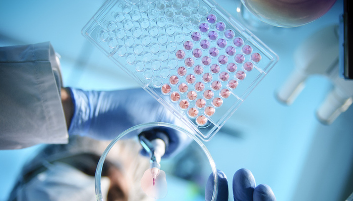 中科院专家：贺建奎事件后，规范科研活动法治是方向