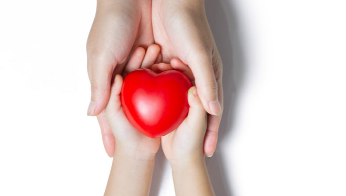 器官捐献与移植“中国经验”受到国际权威机构专家盛赞