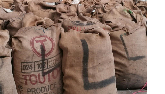 穿山甲,鳞片,案告破,走私团伙,走私分子,杀戮,集装箱,姜片,海关缉私,野生动物