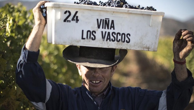 智利葡萄酒日渐火热，不过“拉菲”的智利酒你喝过吗？