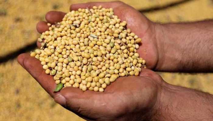 巴西,经济世界观,拉丁美洲,大豆贸易