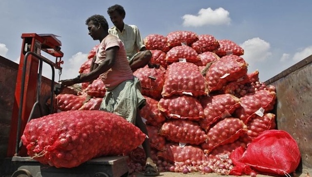 天下奇闻 | 洋葱价飙升两印度男子偷几百斤被抓 美地产公司年终发千万美金红包