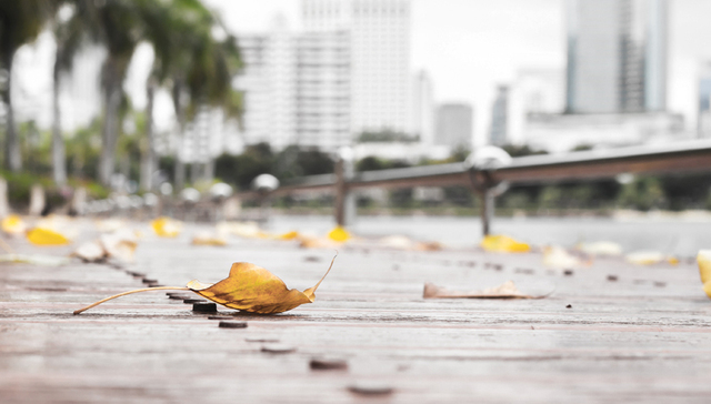 风云一号,孟执中