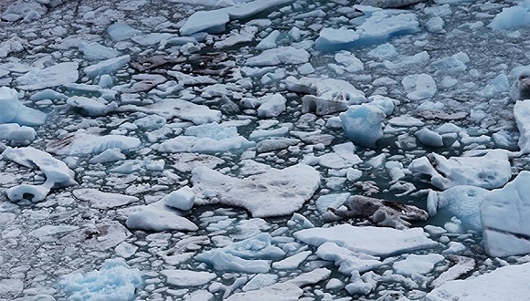 联合国气候峰会未达成全面协议，古特雷斯深表失望