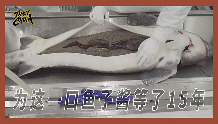 鱼子酱,,,人工养殖,养殖基地,千岛湖,,野生资源