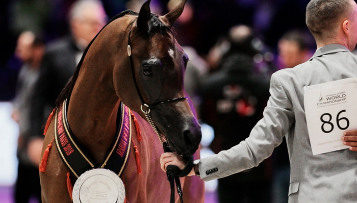 一周享乐指南 | 岁末商场活动不断，奈雪的茶带来年度茶饮消费白皮书