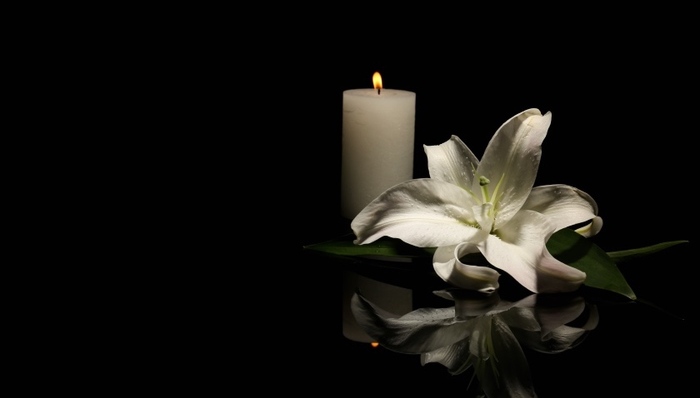 王补宣,马氏体相变,土木工程材料,论文造假,享年,材料力学行为,铁电材料,Q-YAG,河道冲刷,科学