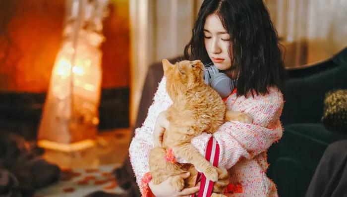 影讯｜电影《宠爱》与《亲爱的新年好》12月31日同日上映