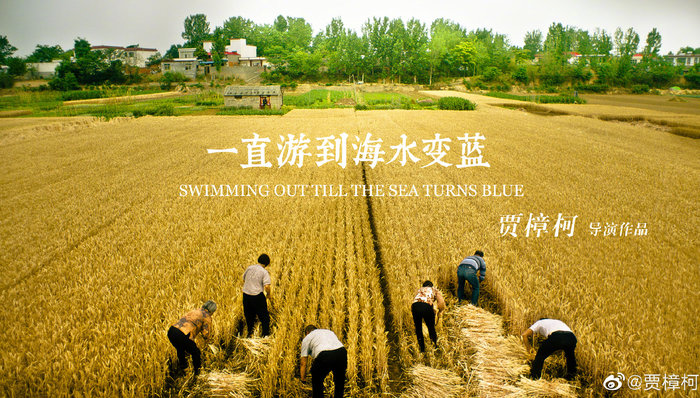 影讯 | 贾樟柯新作《一直游到海水变蓝》将于2020年上映 港媒曝光新《倚天》阵容，王晶称“仍在琢磨”