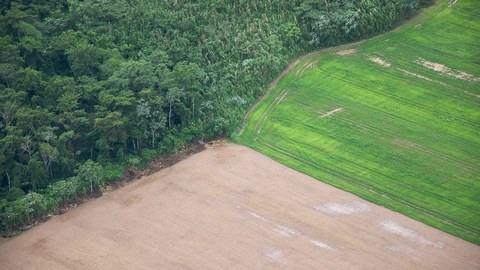 亚马孙退化加剧波及供应链，跨国企业继续抵制巴西原料