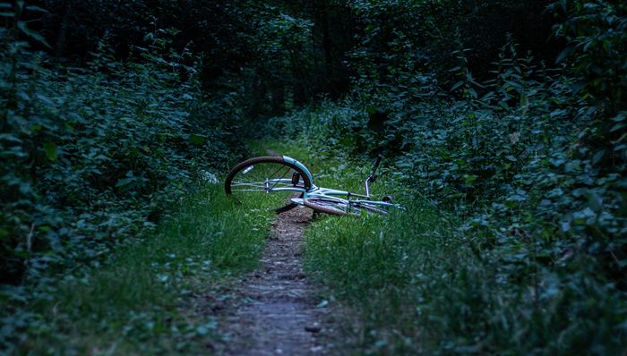 互联网公司,理财产品,资源位,员工价值观,贪腐,公司网络,公司资金,公司利益,反腐力度,公司高层