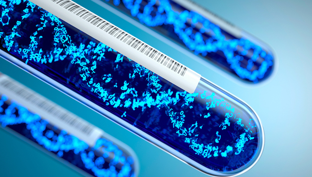 “基因编辑婴儿”案一审宣判，贺建奎等三被告人被追究刑事责任