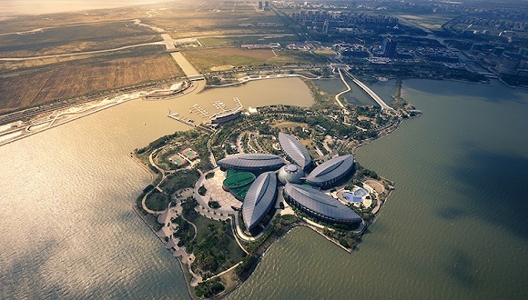 临港新片区，年终盘点