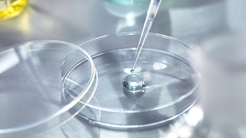 【特写】全球制药巨头调整CAR-T免疫细胞疗法的背后