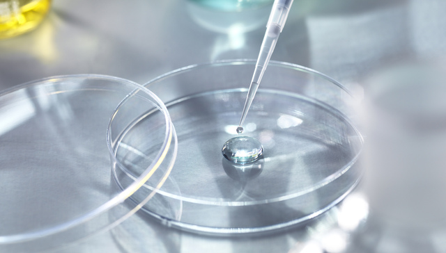 【特写】全球制药巨头调整CAR-T免疫细胞疗法的背后