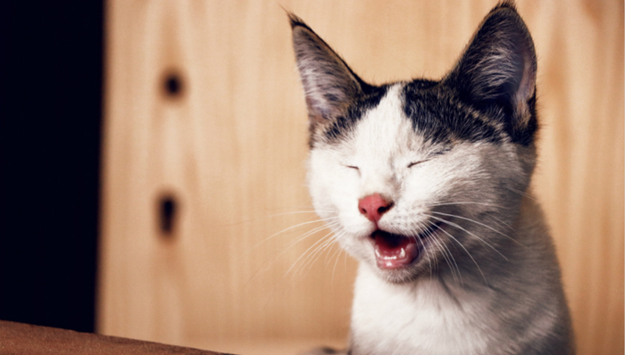 豆瓣,生活方式,豆瓣小组