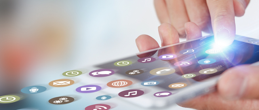 星期六,调研,李子柒