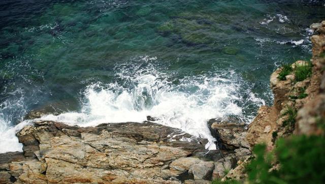 獐子岛,水产,扇贝,吴厚刚,海域,海参,养殖,股票,大连,东北