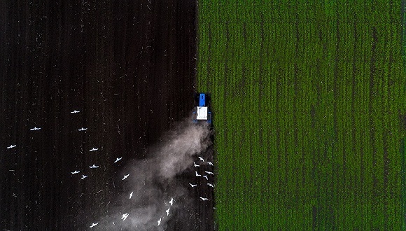 中化集团，中国化工，合并，央企，重组