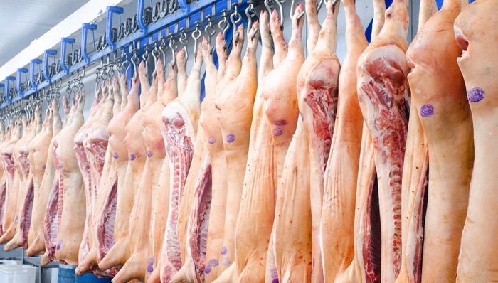 温氏股份,2019年业绩,猪价,上涨,养禽业,肉鸡,出栏量