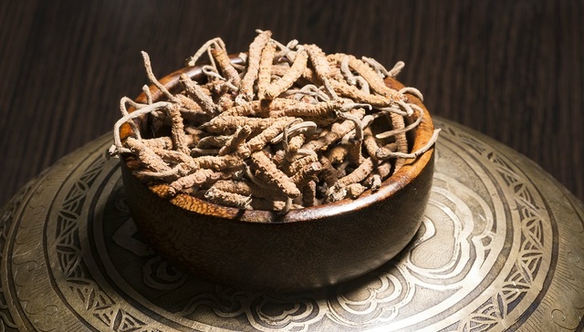 党参、灵芝等9种食药物质管理试点：广告宣传不得涉及疾病防治