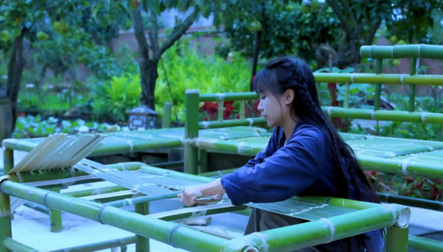 YouTube,中国网红,李子柒