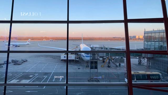 2019年全球机场和航空公司准点率哪家强？