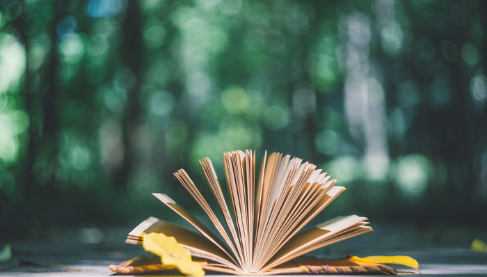 海通证券姜超：如何看待2020年基建投资?