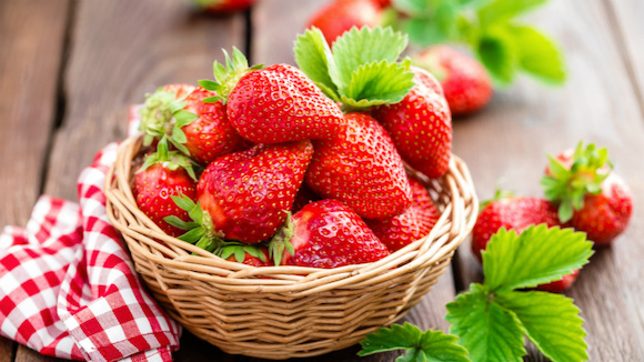 夏季草莓,夏瑞,Bergearth,HOB,日本草莓