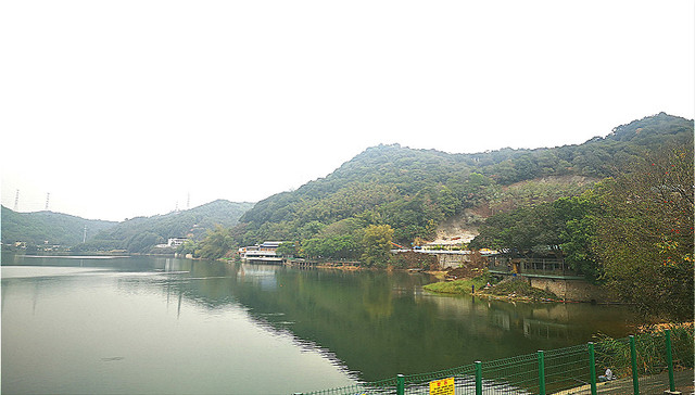 别墅群成废墟，深陷债务危机的颐和难上加难