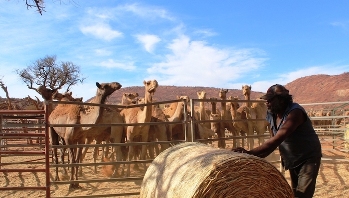 天下故事,惊奇的发现