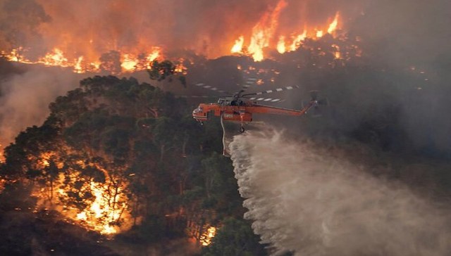 山火,碳排放,调查,干旱,气温,印度洋,南极