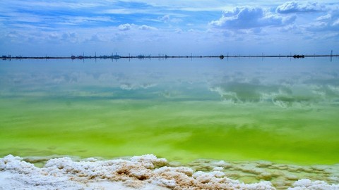 盐湖股份巨亏472亿元将暂停上市，甩资产、债转股后能否复市？