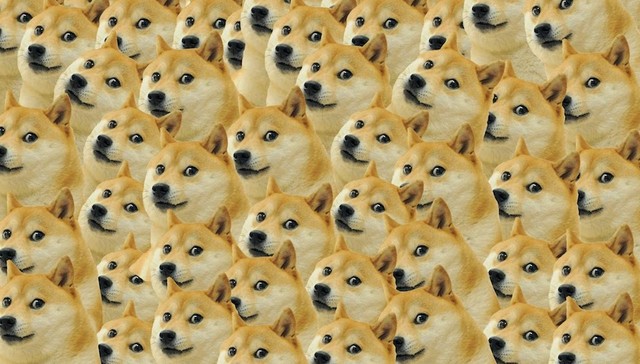 梗好玩，但不好卖